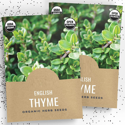 CYBEXIS XLR-23 - Winter Thyme - (150 Seeds) Seed(150 per packet)