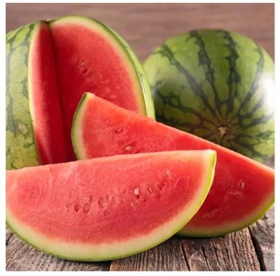 Quentova Juicy watermelon Seeds/तरबूज के बीज-DXL-6U Seed(100 per packet)