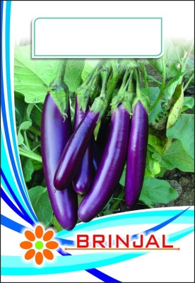 CRGO ™ PUSA-635-BRINJAL Long DESI Seeds Seed(125 per packet)