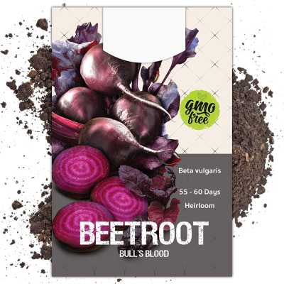 Biosnyg ROX-73 Bull's Blood Beetroot (Beta vulgaris)-[800 Seeds] Seed(800 per packet)