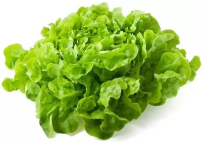 MAA Lettuce, Iceberg Seed(112 per packet)