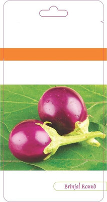 VibeX VVI-89 - Round Brinjal - (1350 Seeds) Seed(1350 per packet)