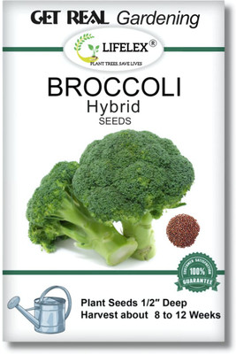 LIFELEX Broccoli Hybrid Seed(25 per packet)