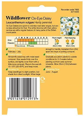 CYBEXIS Wildflower Ox-Eye Daisy Seed(50 per packet)
