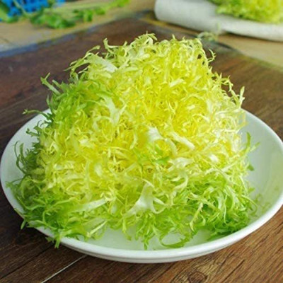 VibeX ® VXI-495 Endive Lettuce Yellow Heart Curly Frisee Seed(200 per packet)
