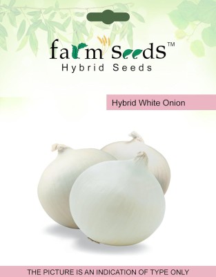 ActrovaX Quick Germination Hybrid White Onion [5gm Seeds] Seed(5 g)