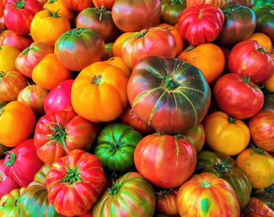 Biosnyg Disease-Resistant Mix Beefsteak Tomato Vegetable Seeds for Garden - (4000 Seeds) Seed(4000 per packet)