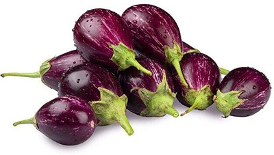 Cosmos Brinjal Seed(100 per packet)