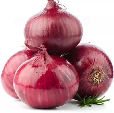 Quentova Nasik Onion-SWAT-7N Seed(200 per packet)