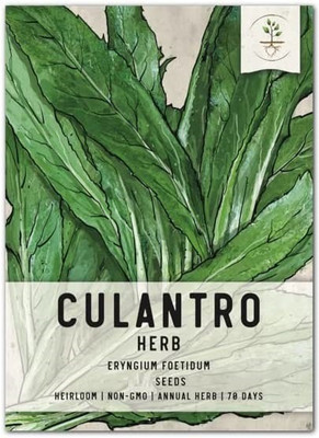 VibeX LX-64 - Certified Organic Cilantro - (2250 Seeds) Seed(2250 per packet)