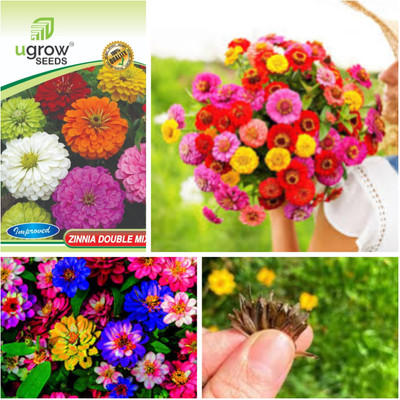 JD AGRO FL-111-DOUBLE-MIX-ZINNIA Seed(40 per packet)