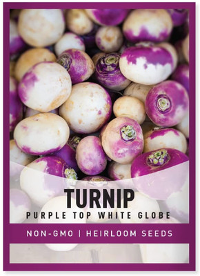 Biosnyg Turnip Purple White Top Globe Seed(500 per packet)