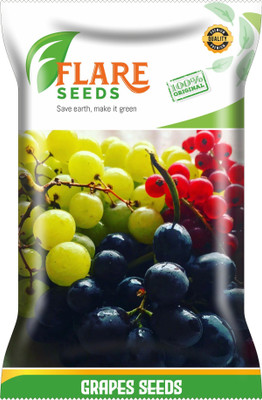 FLARE SEEDS GRAPES MIXED Seed(50 per packet)