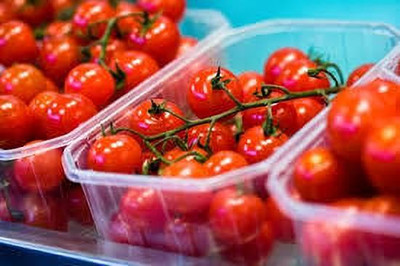 Oliver HYBRID F1 QUALITY TOMATO SEEDS Seed(40 per packet)