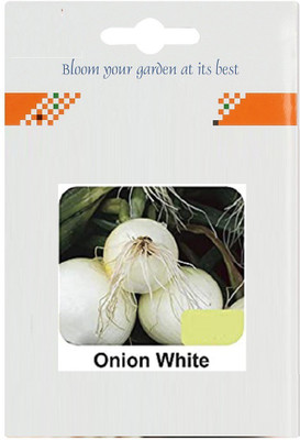 CYBEXIS Onion White1000 Seeds Seed(1000 per packet)