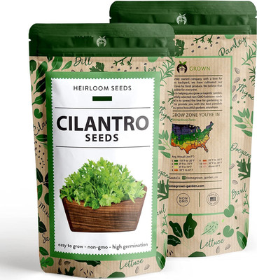 CYBEXIS LX-98 - Organic Cilantro - (250 Seeds) Seed(250 per packet)
