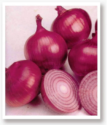 KEROS Organic Red Onion Seed(300 per packet)