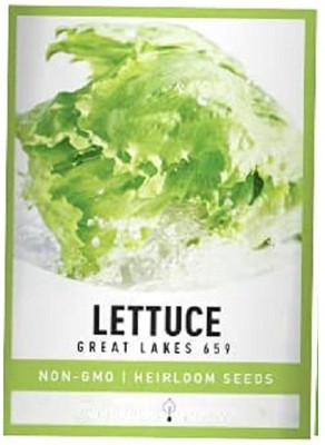 CYBEXIS Great Lakes Lettuce2000 Seeds Seed(2000 per packet)