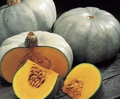 CYBEXIS Crown Prince Pumpkin Seeds Squash Organic Sweet Gardening Heirloom Grey400 Seeds Seed(400 per packet)