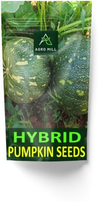 AGRO MILL ORGANIC PUMPKIN/KADDU/PETHA/SITAFAL HYBRID F1 PREMIUM QUALITY FOR KITCHEN GARDEN Seed(5 g)