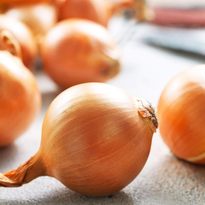 WILLVINE SYN -X Onion Seeds - Yellow Granex PRR [5g] Seed(3000 per packet)