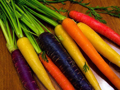 CYBEXIS Guerande Imported Carrot Variety2000 Seeds Seed(2000 per packet)