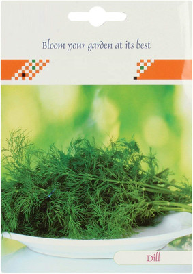 CYBEXIS Whole Dill Seeds2800 Seeds Seed(2800 per packet)