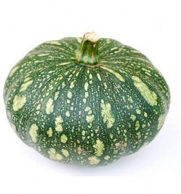 VibeX ® LXI-160 F1 Hybrid Pumpkin Seeds Seed(50 per packet)