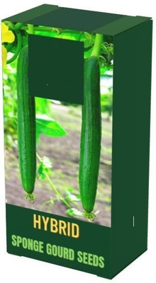 Qualtivate HUA-4A Open Pollinated Sponge Gourd Seeds Seed(50 per packet)