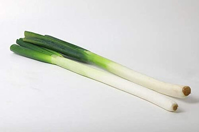 Qualtivate ICRA-3A White Tokyo Long Bunching Onion Seed(500 per packet)