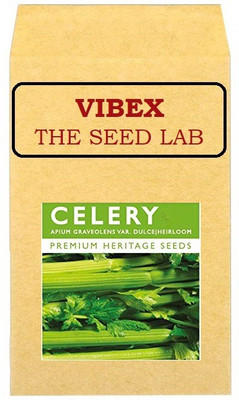CYBEXIS Heirloom Celery Hybrid Seeds700 Seeds Seed(700 per packet)