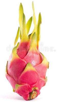 Oliver dragon fruit seeds Seed(67 per packet)