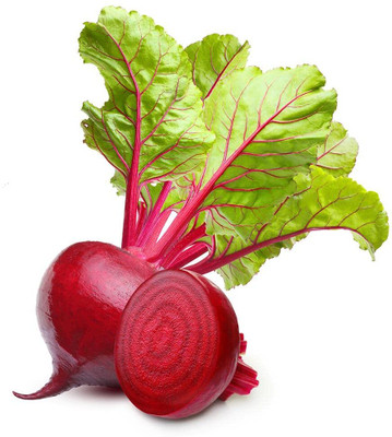 LPR CHUKANDAR,,BEETROOT Seed(50 per packet)