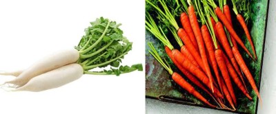 LYRS F1 Hybrid Carrot & Radish Planting Seed Combo For Home Kitchen Gardening - 190 Seed(190 per packet)