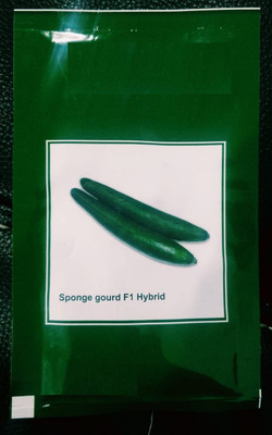 CYBEXIS XLL-1 - Organic Desi Sponge Gourd - (300 Seeds) Seed(300 per packet)