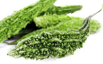 XOLDAA F1 BEST QUALITY BITTER GOURD SEEDS Seed(13 per packet)