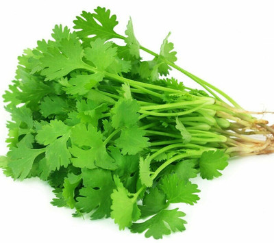 ZIXA Green leafy herb coriander Seed(100 per packet)