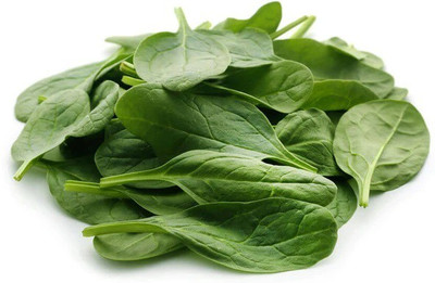 CYBEXIS SPINACH MATADOR SEEDS1400 Seeds Seed(1400 per packet)