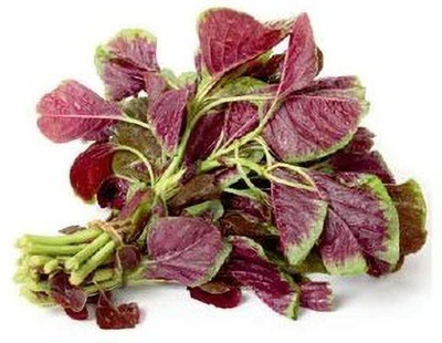 URRO AMARANTHUS RED Seed(500 per packet)
