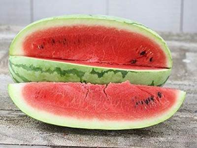 VibeX ATS-67 - Watermelon Alibaba Giant Mix - (1350 Seeds) Seed(1350 per packet)