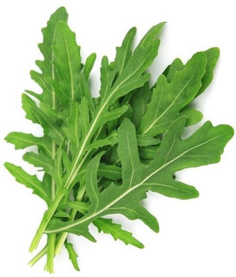 CYBEXIS WILD ROCKET LEAVES2800 Seeds Seed(2800 per packet)
