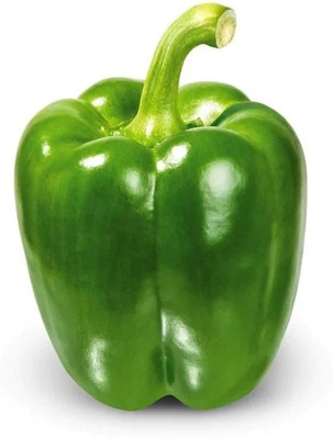 VASUDHA Green Capsicum / Bell Pepper Seed(100 per packet)