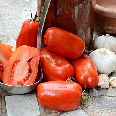 LPR tomato,tamatar Seed(200 per packet)