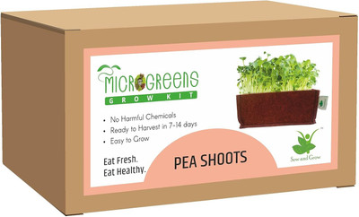 Sow and Grow Microgreens Grow Kit: Pea Shoots 50 Gram | Easy to Use Kit for Beginner Gardener Seed(1 per packet)