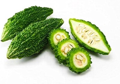 AloGardening Hybrid Bitter Gourd (Karela) F1 Hybrid Seeds Seed(16 per packet)