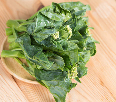 WILLVINE XLL-462 Chinese Broccoli Seeds Seed(200 per packet)