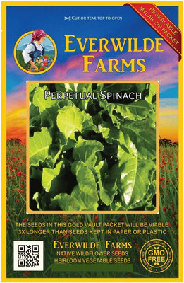 Qualtivate HYB-7A Perpetual Spinach Swiss Chard Seed(300 per packet)