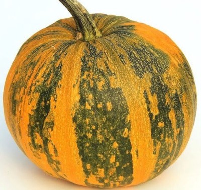 Farmonix Styrian Pumpkin Seed(150 per packet)