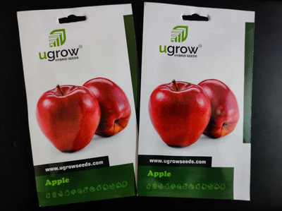 ALPINE HYBRID SEEDS APPLE, FRUITS Seed(50 per packet)