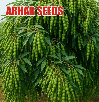 hyb 1kg, Arhar/tur seeds highest yield 20-22 Quintal/acre Seed(1 kg)
